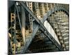Premium Photographic Print