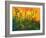 Bayou, 2011-Patricia Brintle-Framed Giclee Print