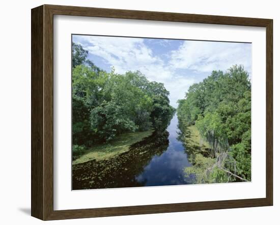 Bayou in Swampland at Jean Lafitte National Historic Park and Preserve, Louisiana, USA-Robert Francis-Framed Photographic Print