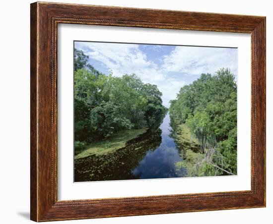 Bayou in Swampland at Jean Lafitte National Historic Park and Preserve, Louisiana, USA-Robert Francis-Framed Photographic Print