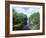 Bayou in Swampland at Jean Lafitte National Historic Park and Preserve, Louisiana, USA-Robert Francis-Framed Photographic Print