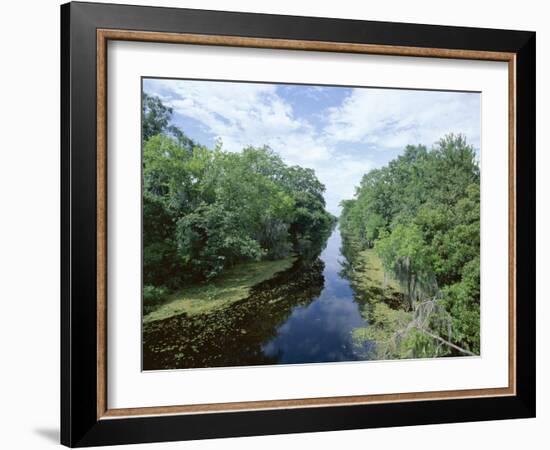 Bayou in Swampland at Jean Lafitte National Historic Park and Preserve, Louisiana, USA-Robert Francis-Framed Photographic Print