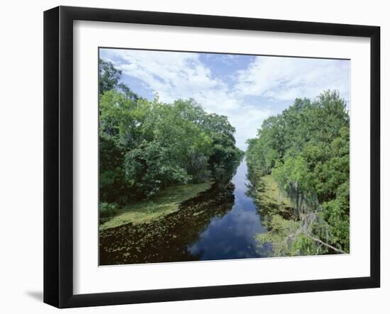 Bayou in Swampland at Jean Lafitte National Historic Park and Preserve, Louisiana, USA-Robert Francis-Framed Photographic Print