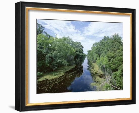Bayou in Swampland at Jean Lafitte National Historic Park and Preserve, Louisiana, USA-Robert Francis-Framed Photographic Print