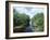 Bayou in Swampland at Jean Lafitte National Historic Park and Preserve, Louisiana, USA-Robert Francis-Framed Photographic Print