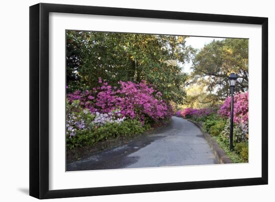 Bayou La Batre, Alabama, Is A Fishing Village-Carol Highsmith-Framed Art Print