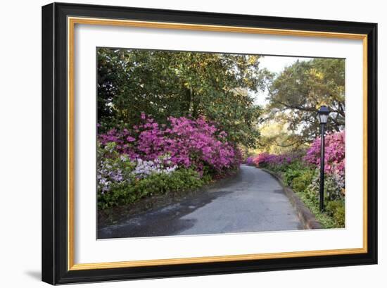 Bayou La Batre, Alabama, Is A Fishing Village-Carol Highsmith-Framed Art Print