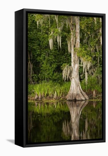 Bayou, New Orleans, Louisiana-Paul Souders-Framed Premier Image Canvas