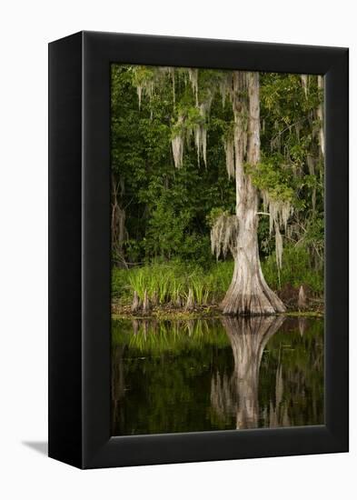 Bayou, New Orleans, Louisiana-Paul Souders-Framed Premier Image Canvas