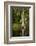 Bayou, New Orleans, Louisiana-Paul Souders-Framed Photographic Print