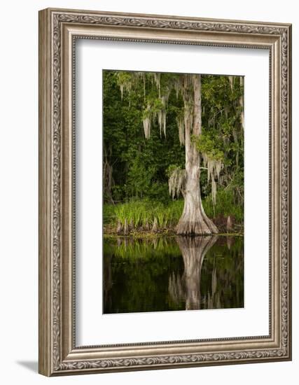 Bayou, New Orleans, Louisiana-Paul Souders-Framed Photographic Print