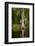 Bayou, New Orleans, Louisiana-Paul Souders-Framed Photographic Print