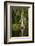 Bayou, New Orleans, Louisiana-Paul Souders-Framed Photographic Print