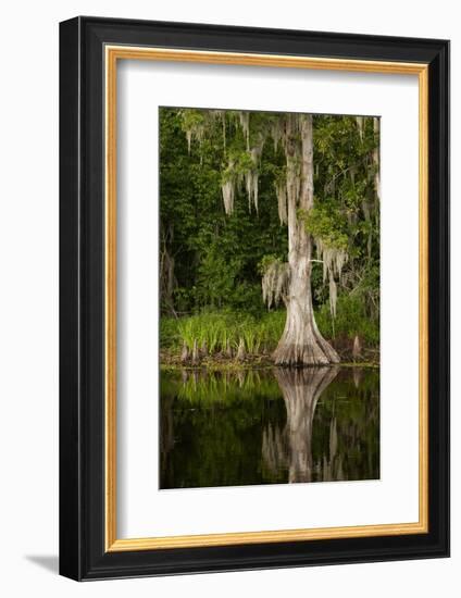 Bayou, New Orleans, Louisiana-Paul Souders-Framed Photographic Print