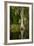 Bayou, New Orleans, Louisiana-Paul Souders-Framed Photographic Print