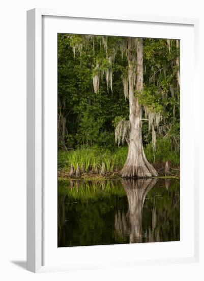 Bayou, New Orleans, Louisiana-Paul Souders-Framed Photographic Print