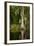 Bayou, New Orleans, Louisiana-Paul Souders-Framed Photographic Print