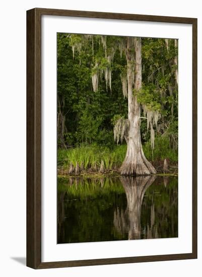 Bayou, New Orleans, Louisiana-Paul Souders-Framed Photographic Print