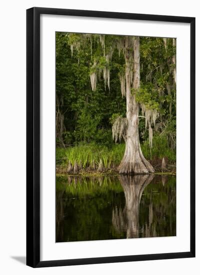 Bayou, New Orleans, Louisiana-Paul Souders-Framed Photographic Print