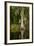 Bayou, New Orleans, Louisiana-Paul Souders-Framed Photographic Print