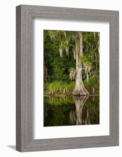 Bayou, New Orleans, Louisiana-Paul Souders-Framed Photographic Print