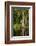 Bayou, New Orleans, Louisiana-Paul Souders-Framed Photographic Print