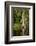 Bayou, New Orleans, Louisiana-Paul Souders-Framed Photographic Print