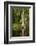 Bayou, New Orleans, Louisiana-Paul Souders-Framed Photographic Print