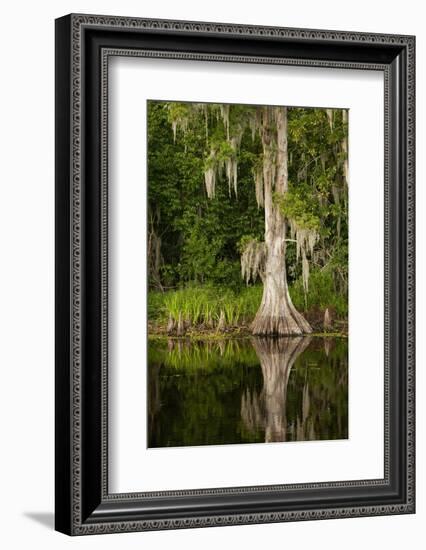 Bayou, New Orleans, Louisiana-Paul Souders-Framed Photographic Print