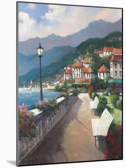 Bayside Park-Tan Chun-Mounted Art Print