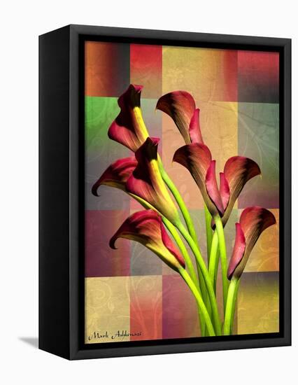 BBB 3-Mark Ashkenazi-Framed Premier Image Canvas