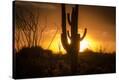 Stretched Canvas Print
