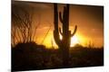 Photographic Print