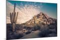 Photographic Print