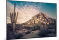 Photographic Print