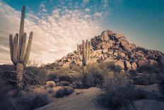 Arizona Landscape, Sunset Saguaro in Silhouette over Desert.-BCFC-Photographic Print