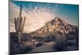 Photographic Print