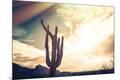 Photographic Print