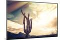 Photographic Print