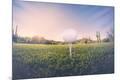 Photographic Print