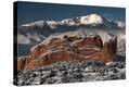Stretched Canvas Print