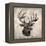 Be a Deer II-Ashley Sta Teresa-Framed Stretched Canvas