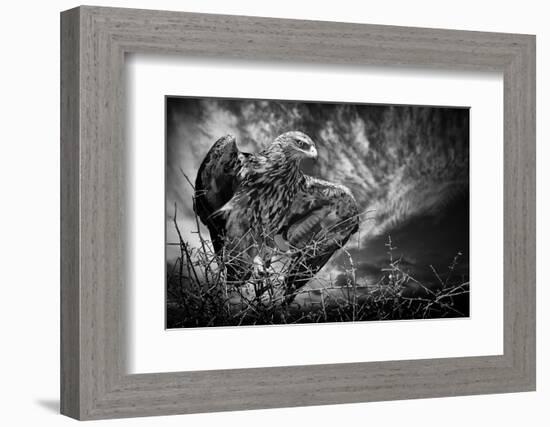 Be Alert-Mathilde Guillemot-Framed Photographic Print