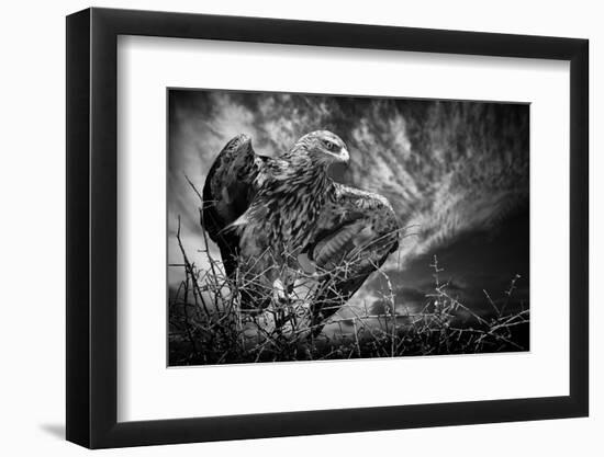 Be Alert-Mathilde Guillemot-Framed Photographic Print