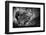 Be Alert-Mathilde Guillemot-Framed Photographic Print