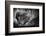 Be Alert-Mathilde Guillemot-Framed Photographic Print