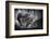 Be Alert-Mathilde Guillemot-Framed Photographic Print