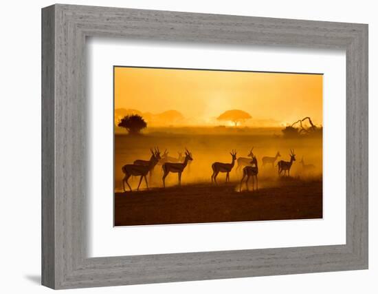 Be Careful-Mathilde Guillemot-Framed Photographic Print