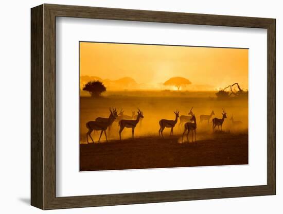 Be Careful-Mathilde Guillemot-Framed Photographic Print