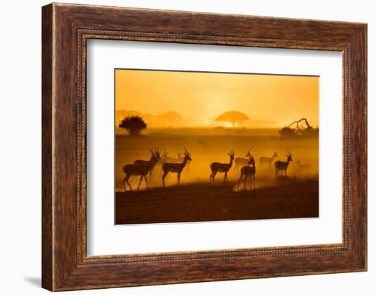 Be Careful-Mathilde Guillemot-Framed Photographic Print